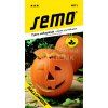 Tykev plazivá - HALLOWEEN 2 g